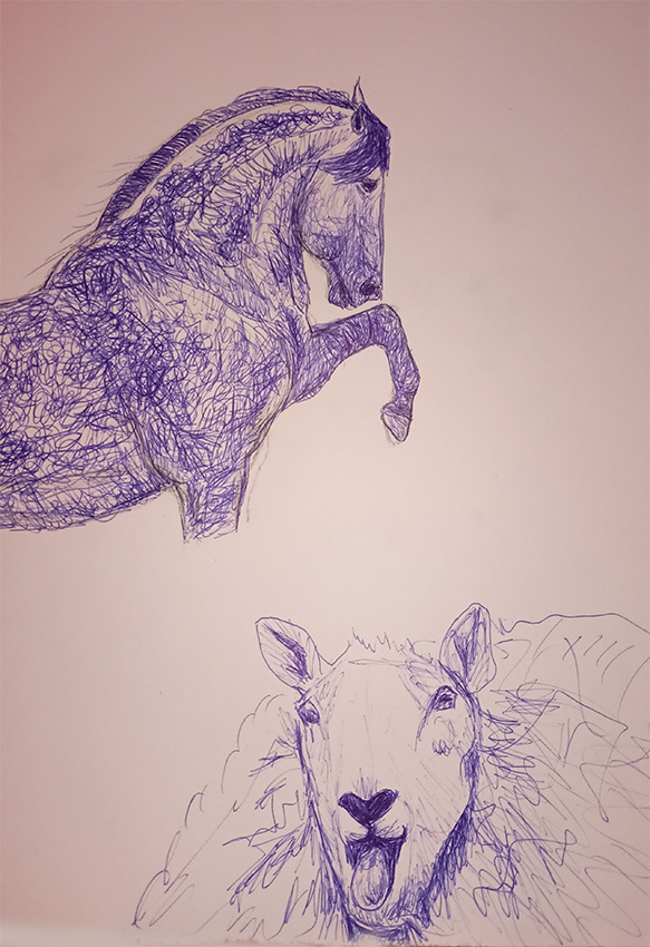 Szkic koń i wesoła owca