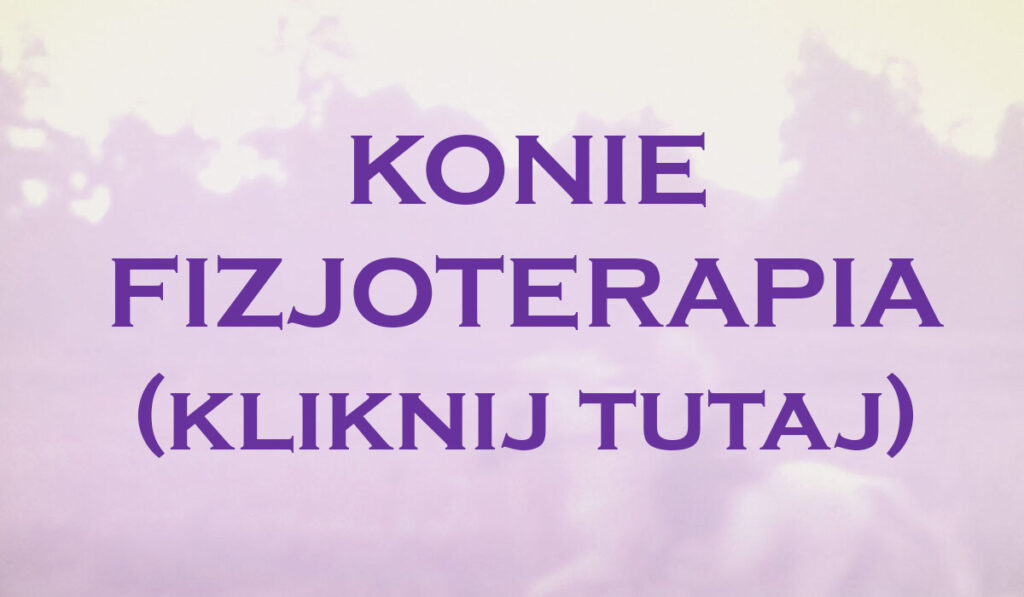 fizjoterapialkonisadejko